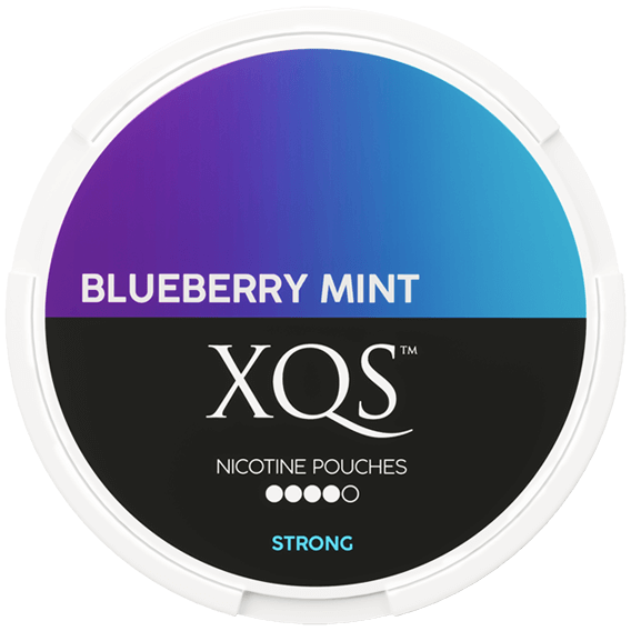 XQS Blueberry Mint Strong 8mg